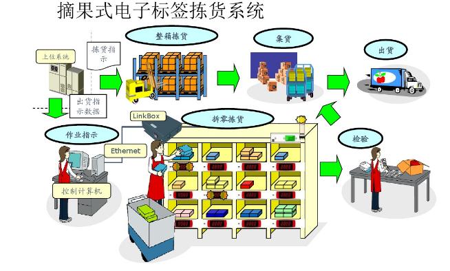 摘果式分揀 摘果式分揀
