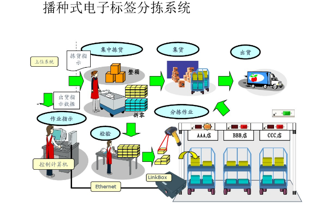 播種式分揀 播種式分揀