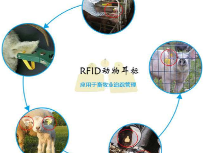 RFID技術(shù)對畜牧管理提供了科學模式